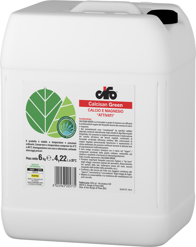 Calcio e magnesio “attivati” da Macrocystis integrifolia