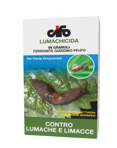 confezione ferronite